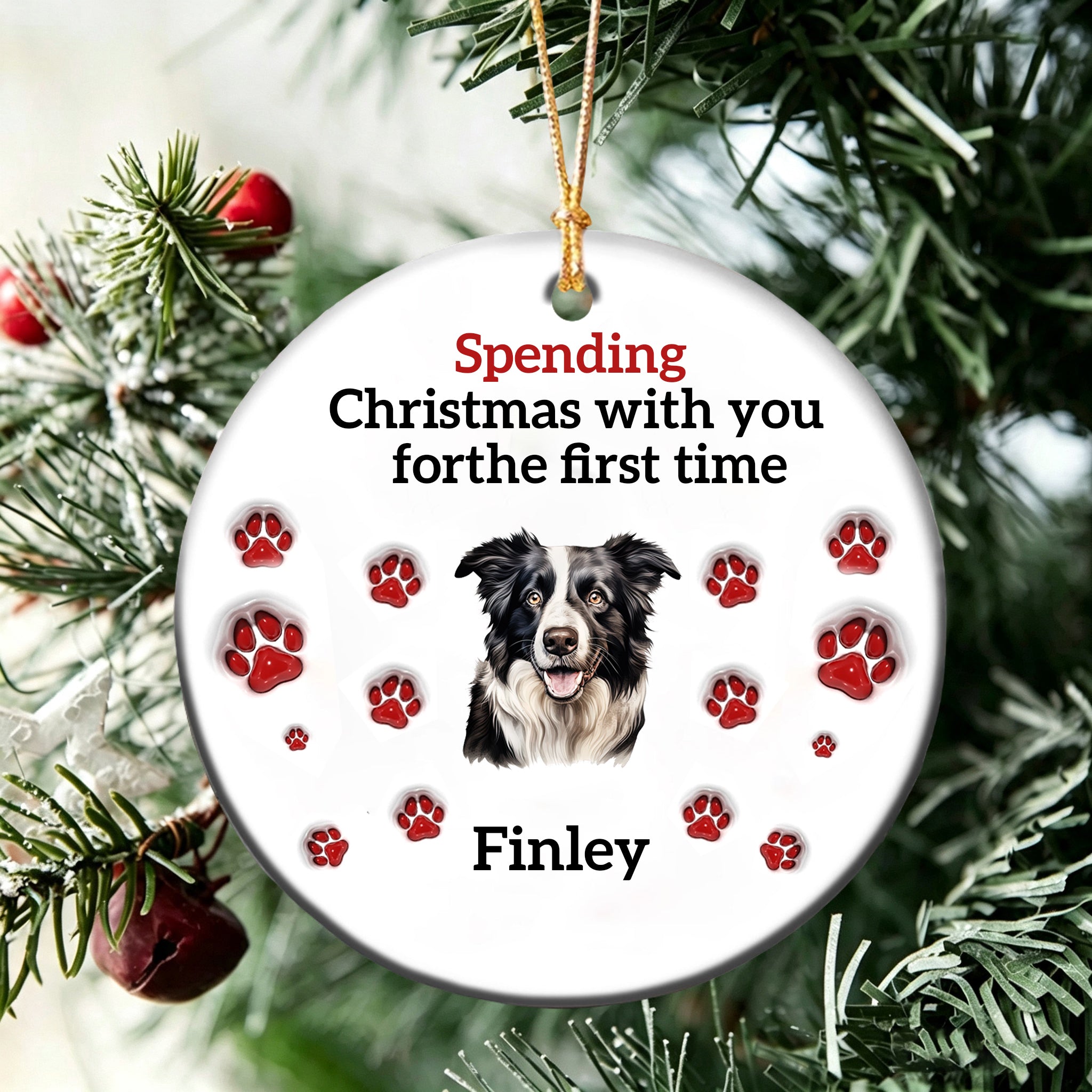 Personalized Pet Christmas Ceramic 3D Effect Ornament With Name