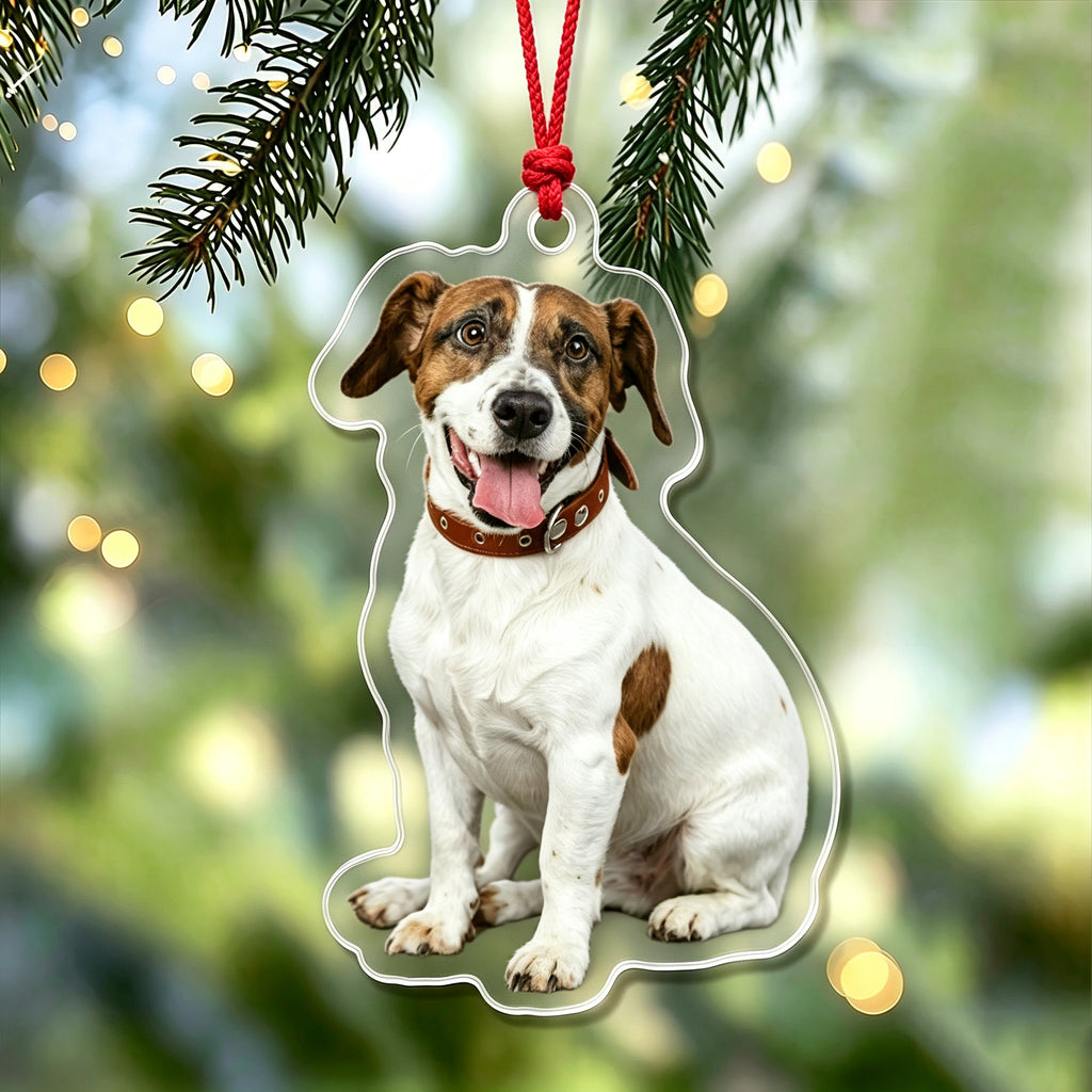 Custom Dog Photo Acrylic Ornament,Christmas Gift For Dog Mom,Dad,Pet Lovers