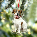 Custom Dog Photo Acrylic Ornament,Christmas Gift For Dog Mom,Dad,Pet Lovers