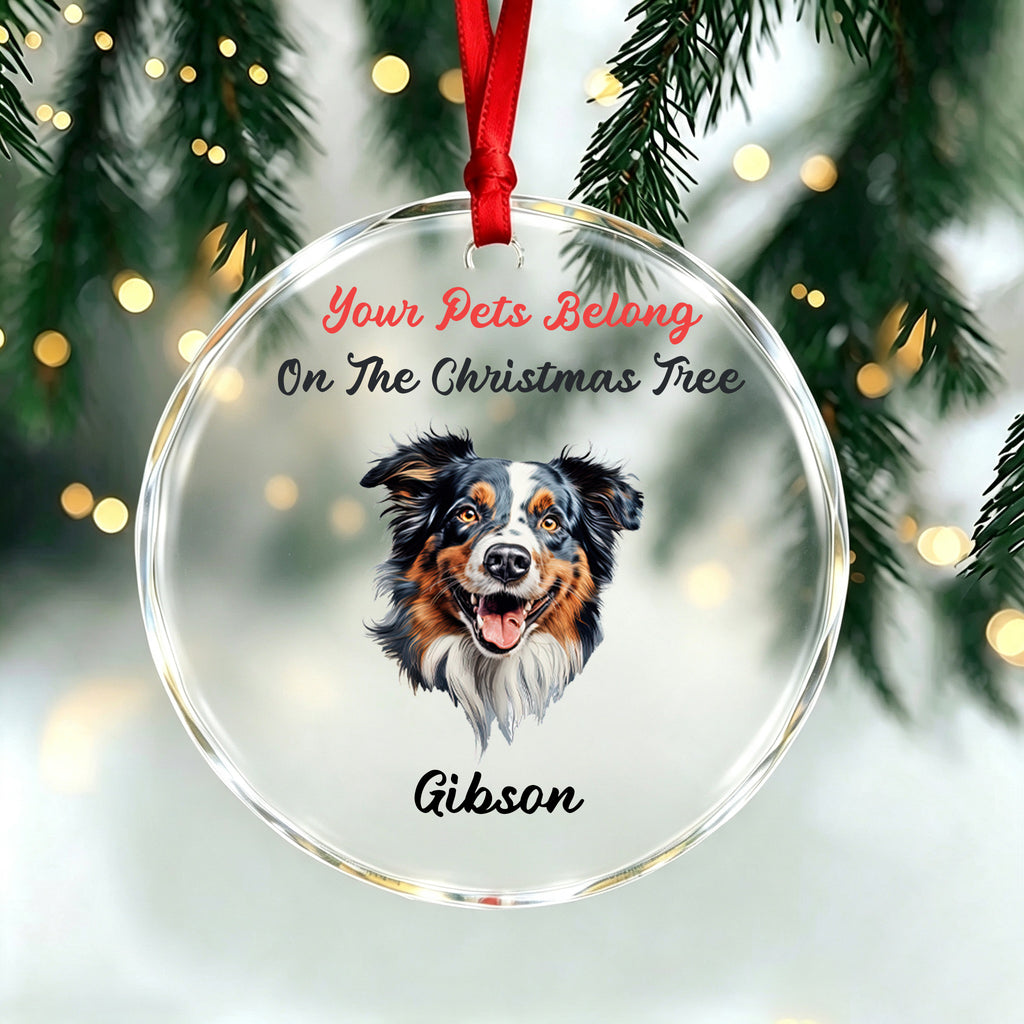 Your Pets Belong On The Christmas Tree-Personalized Pet Christmas Ornament