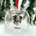 Your Pets Belong On The Christmas Tree-Personalized Pet Christmas Ornament