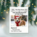 The Little Trouble Maker We’ll Always Love – Personalized Dog Cat Christmas Ornament  For Pet Lovers