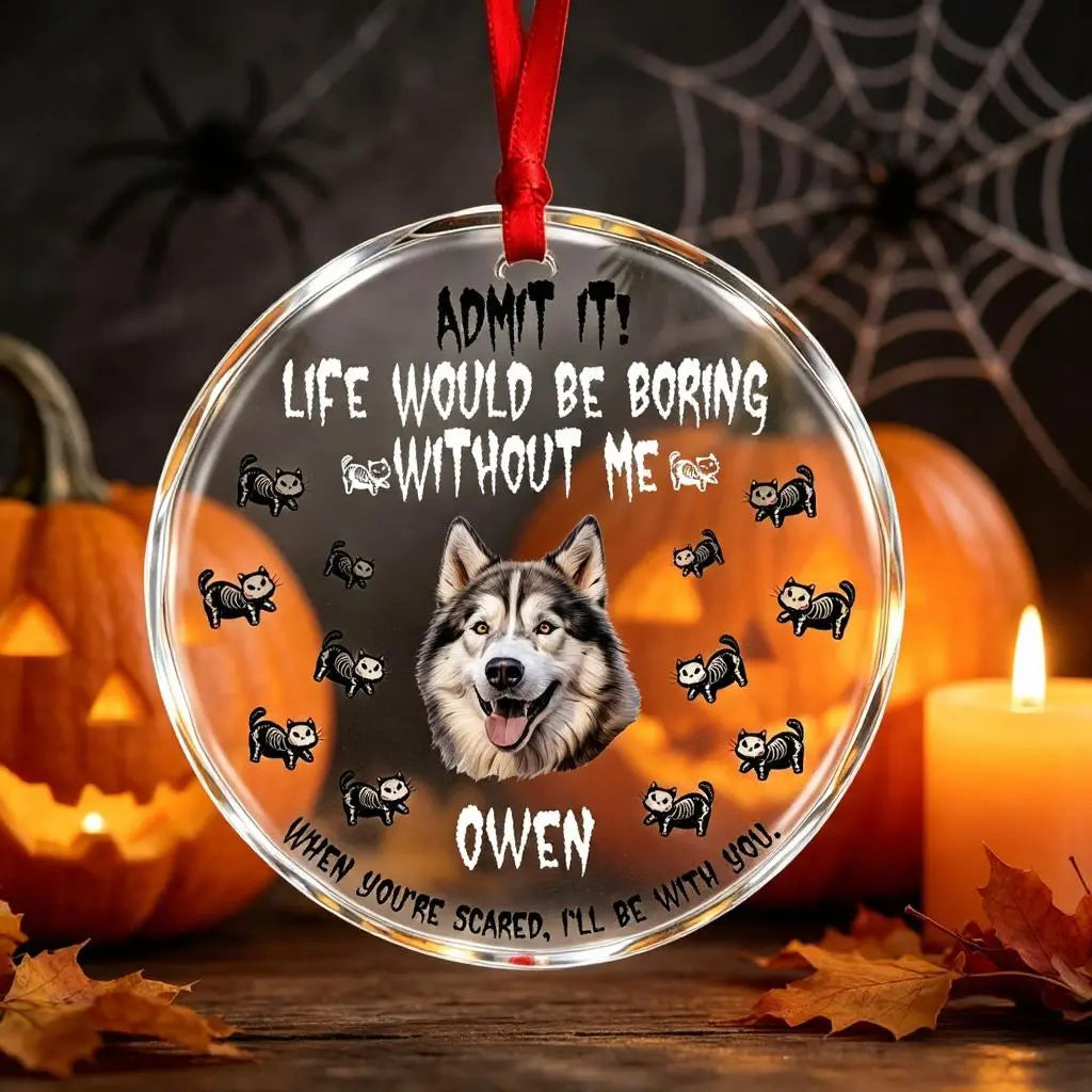 Custom Dog Cat Halloween Ornament,Personalized Pet Photo Ornament Gift for Dog Moms,Pet Lovers
