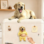 Custom Photo Dog&Cat Belly Mochi Squishy Fridge Magnet,Cute Squeeze Toys