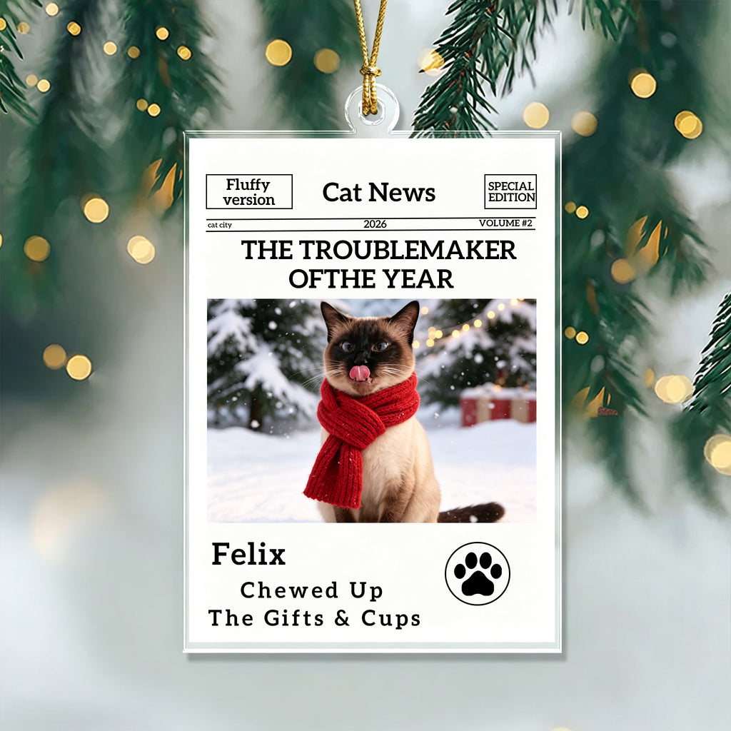 The Little Trouble Maker We’ll Always Love – Personalized Dog Cat Christmas Ornament  For Pet Lovers