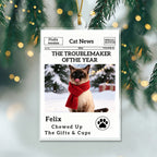 The Little Trouble Maker We’ll Always Love – Personalized Dog Cat Christmas Ornament  For Pet Lovers