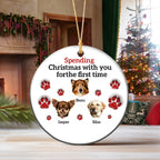 Spending Christmas With You for the First Time-Personalized Pet Christmas Ornament For Pet Lovers