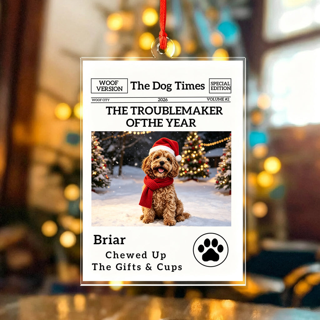 The Little Trouble Maker We’ll Always Love – Personalized Dog Cat Christmas Ornament  For Pet Lovers