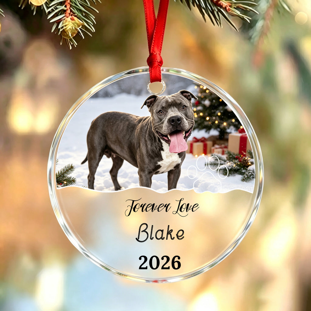 Always Be Loved-Personalized Pet Photo Memorial Christmas Ornament