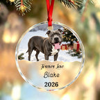 Always Be Loved-Personalized Pet Photo Memorial Christmas Ornament