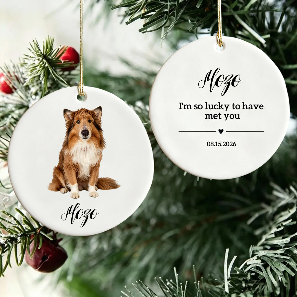 I'm So Lucky To Have Met You-Personalized Ceramic Ornament For Christmas Dog Dad,Mom,Pet Owner