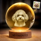 Personalized Pet Memorial Night Light Pet Memorial Sympathy Gifts For Dogs, Cats